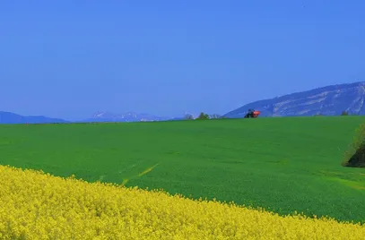 serwis maszyn rolniczych