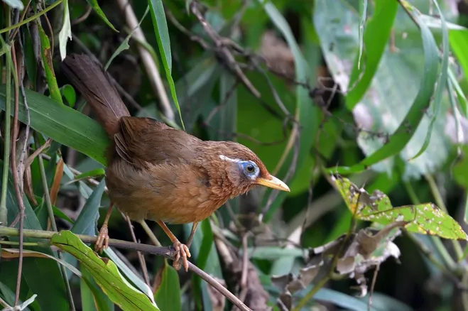 Maski antysmogowe - BHP Gabi